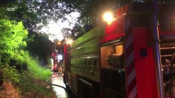Brand in bos in Langdorp: 
