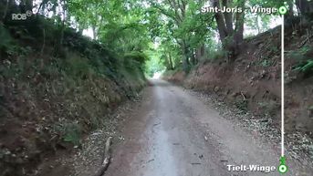 Wijnlandschappenroute: Tielt-Winge naar Sint-Joris-Winge
