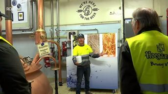 Bier brouwen je passie? Brouwerij van Hoegaarden doet deuren open voor jobdag