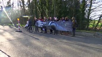 Buurtbewoners Hoegaardsesteenweg protesteren tegen bomenkap