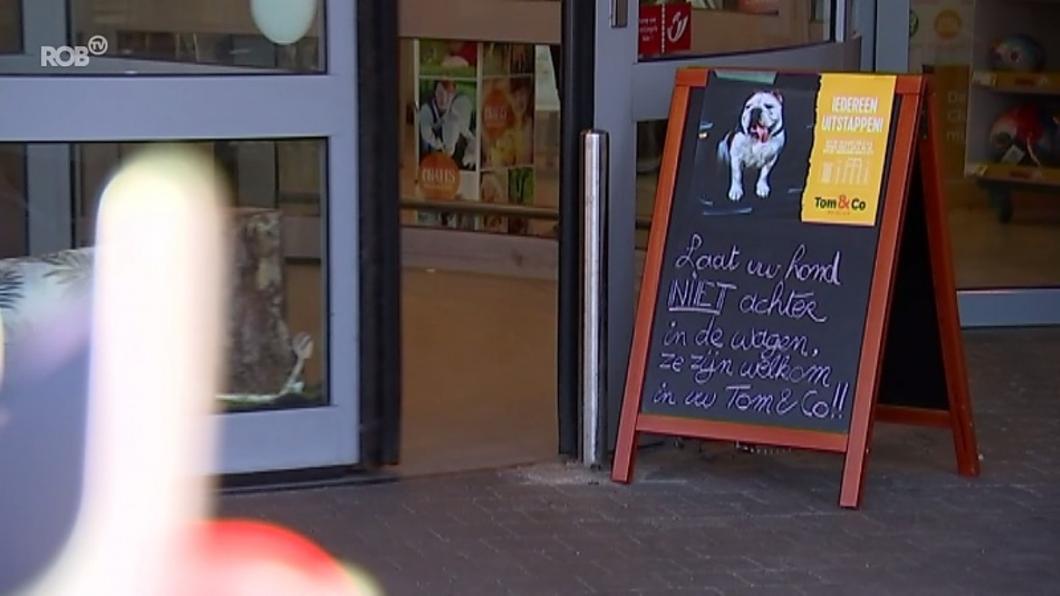 tv station Politiebureau Omgeving Je hond droppen tijdens het winkelen? Het kan in Kessel-Lo! - ROB-tv
